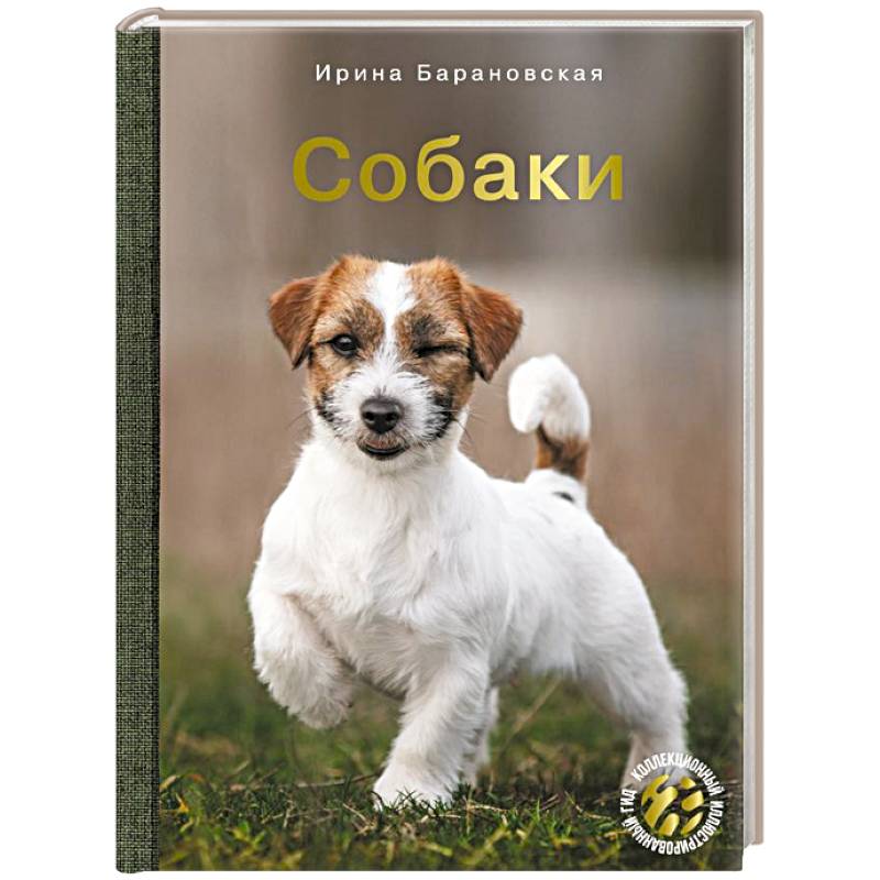 Собаки