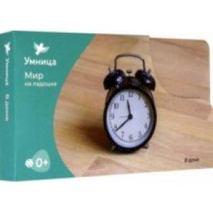 Мир на ладошке. В доме