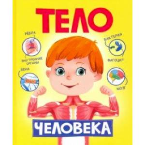 Тело человека