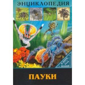 Энциклопедия. Пауки