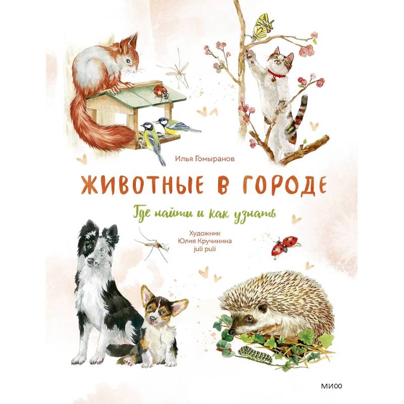 Животные в городе. Где найти и как узнать