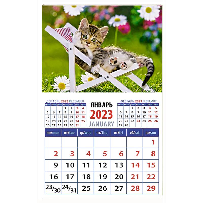 Календарь Год кота. Отдых в шезлонге на 2023 год