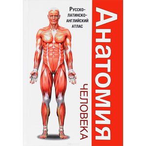 Анатомия человека. Русско-латинско-английский атлас
