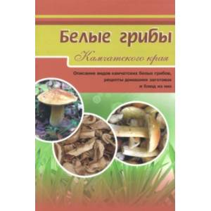Белые грибы. Описание видов камчатских белых грибов, рецепты домашних заготовок и блюд из них