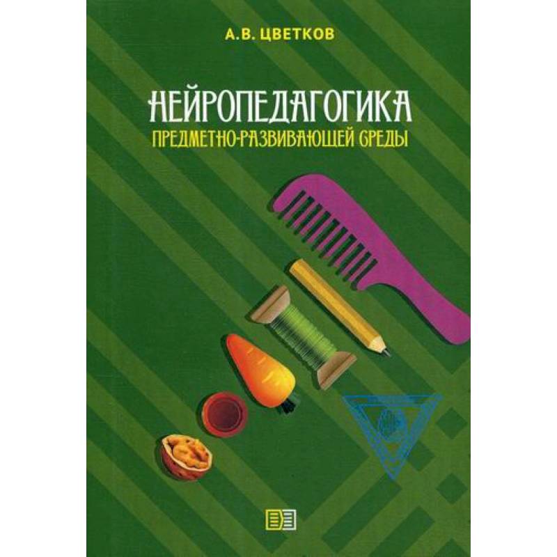 Нейропедагогика предметно-развивающей среды
