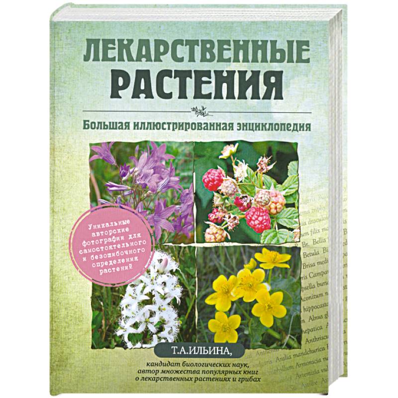 Лекарственные растения. Большая иллюстрированная энциклопедия