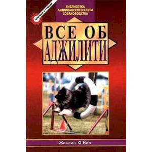 Все об аджилити