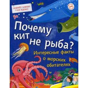 Почему кит не рыба? Интересные факты о морских обитателях