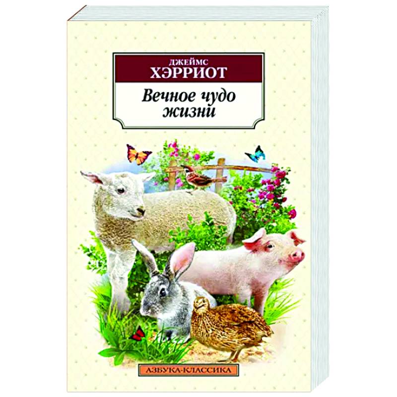 Вечное чудо жизни