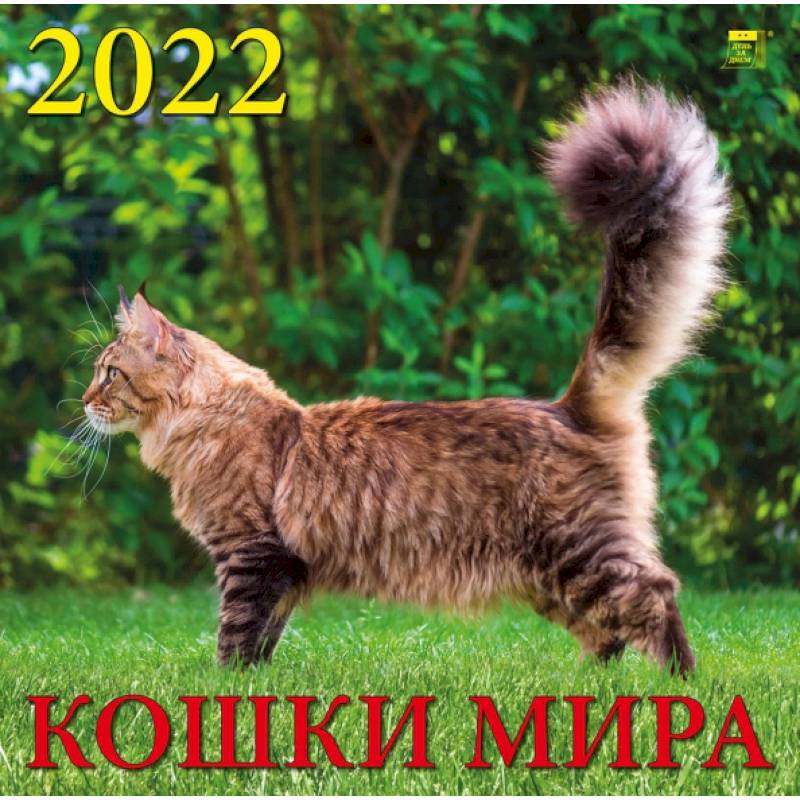 Календарь на 2022 год 'Кошки мира'