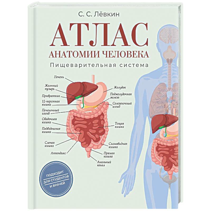 Атлас анатомии человека. Пищеварительная система