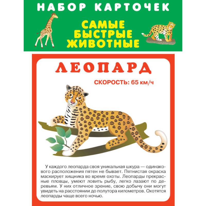 Набор карточек. Самые быстрые животные