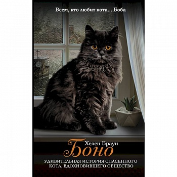 Боно. Удивительная история спасенного кота, вдохновившего общество