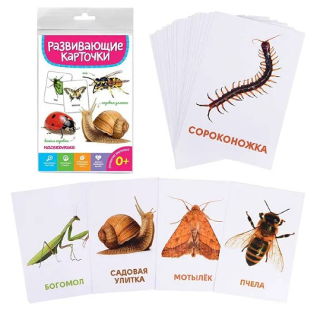 Книги для дошкольников (4-6 лет), книга Насекомые купить по скидке