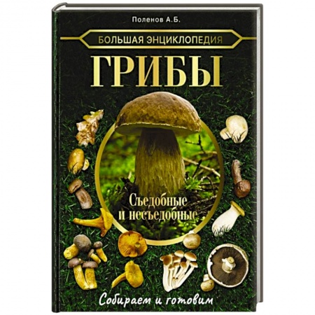 Грибы. Справочники. Определители, книга Большая энциклопедия. Грибы. Съедобные и несъедобные. Собираем и готовим купить по скидке