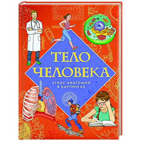 Человек. Земля. Вселенная, книга Тело человека. Атлас анатомии в картинках купить по скидке