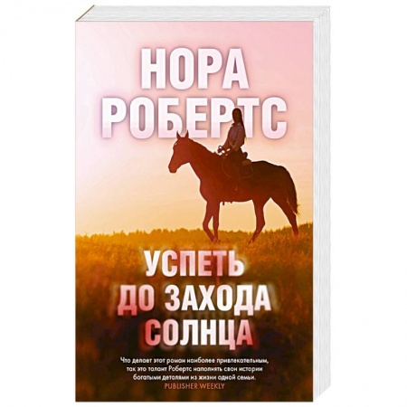 Зарубежный детектив, книга Успеть до захода солнца купить по скидке