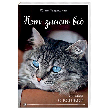 Кот знает всё