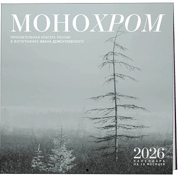 Монохром. Пронзительная красота России в фотографиях Ивана Дементиевского. Календарь настенный на 16 месяцев на 2026 год (300х300 мм)