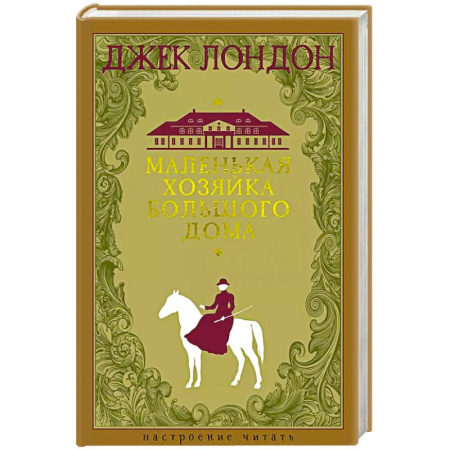 Зарубежная классика, книга Маленькая хозяйка Большого дома купить по скидке
