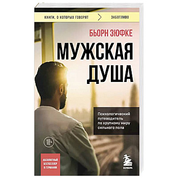 Мужская душа. Психологический путеводитель по хрупкому миру сильного пола