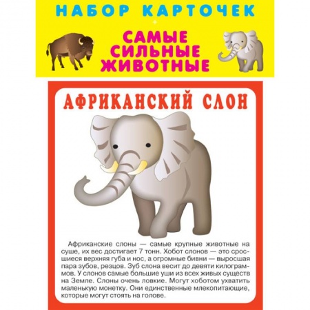 Общая подготовка к школе, книга Набор карточек 'Самые быстрые животные' купить по скидке