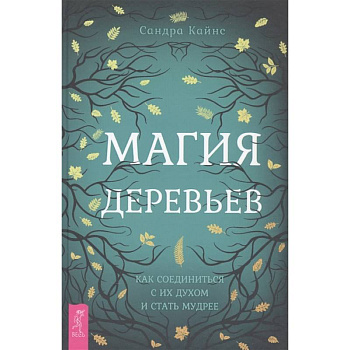 Магия деревьев: как соединиться с их духом и стать мудрее