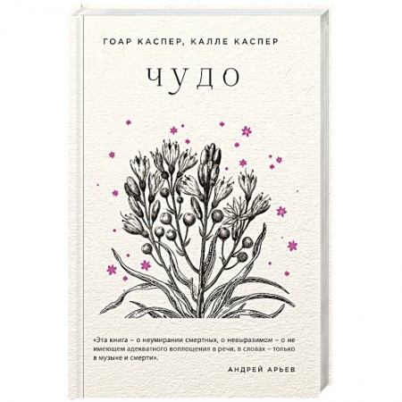 Зарубежная современная проза, книга Чудо купить по скидке