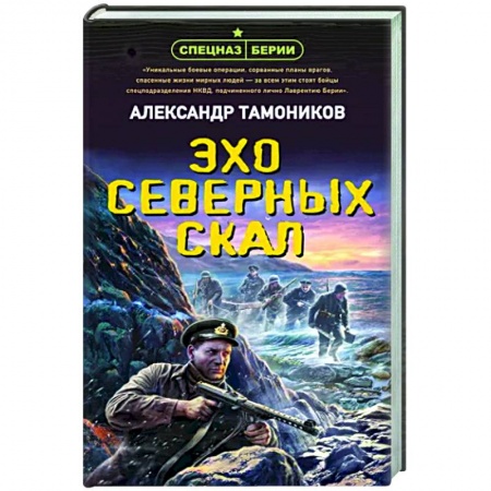 Боевики, военные, книга Эхо северных скал купить по скидке