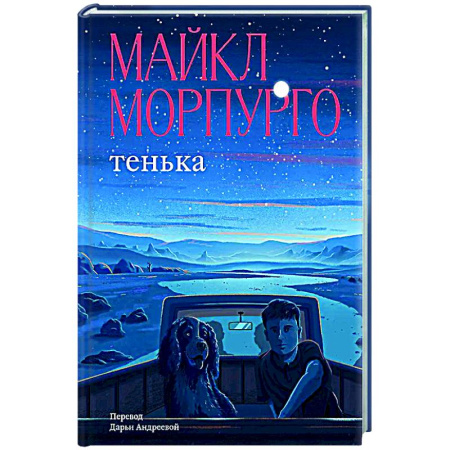 Повести и рассказы о детях, книга Тенька купить по скидке