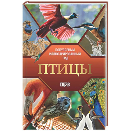Животный и растительный мир, книга Птицы. Иллюстрированный гид купить по скидке