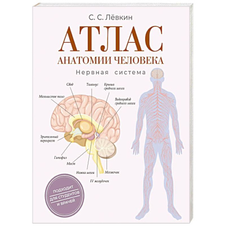 Медицинские энциклопедии и справочники, книга Атлас анатомии человека. Нервная система купить по скидке