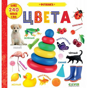 Первые знания. Фотокниги. Фотокнига. Цвета
