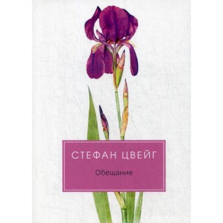 Зарубежная современная проза, книга Обещание купить по скидке