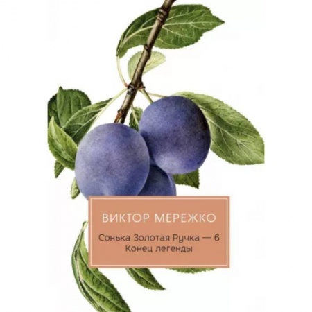 Отечественный женский детектив, книга Сонька Золотая Ручка - 6. Конец легенды купить по скидке