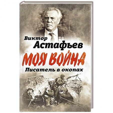 Мемуары, биографии военных деятелей, книга В окопах. Война глазами солдата купить по скидке